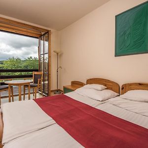 Standaard Kamer met een King Size Bed